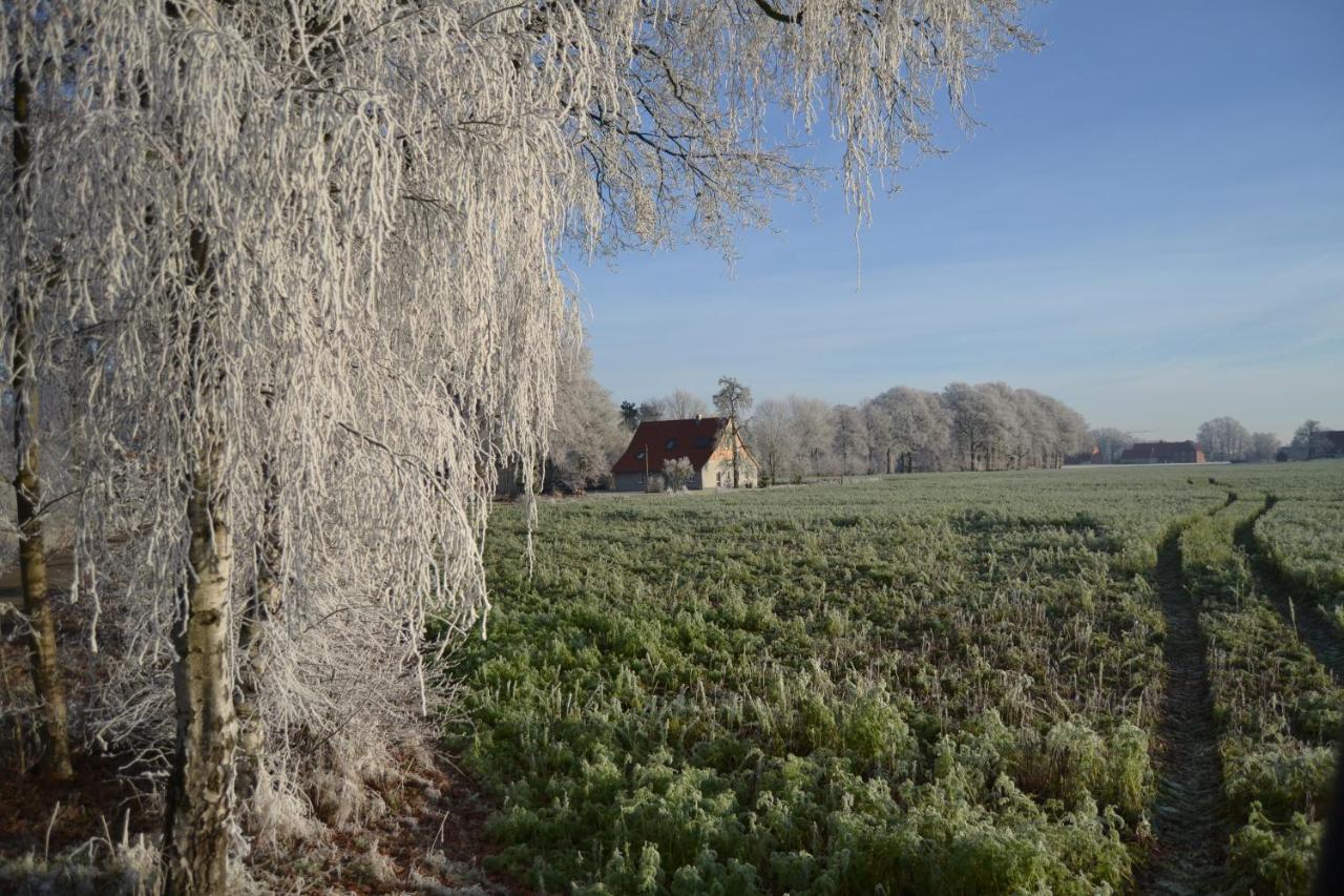 Zum Heuerling Ferienwohung Im Alten Stall Mit Sauna Versmold Exterior photo